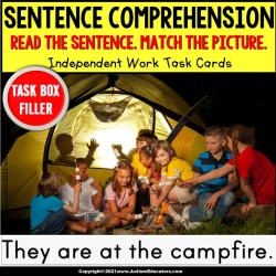 SENTENCE COMPREHENSION Vocabulary Word Knowledge | Task Box Filler Activities | CAMPING